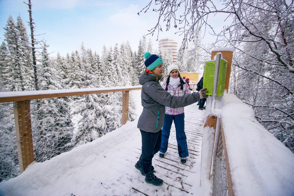 Lombkorona ösvény és jégtemplom a Tátrában fotó