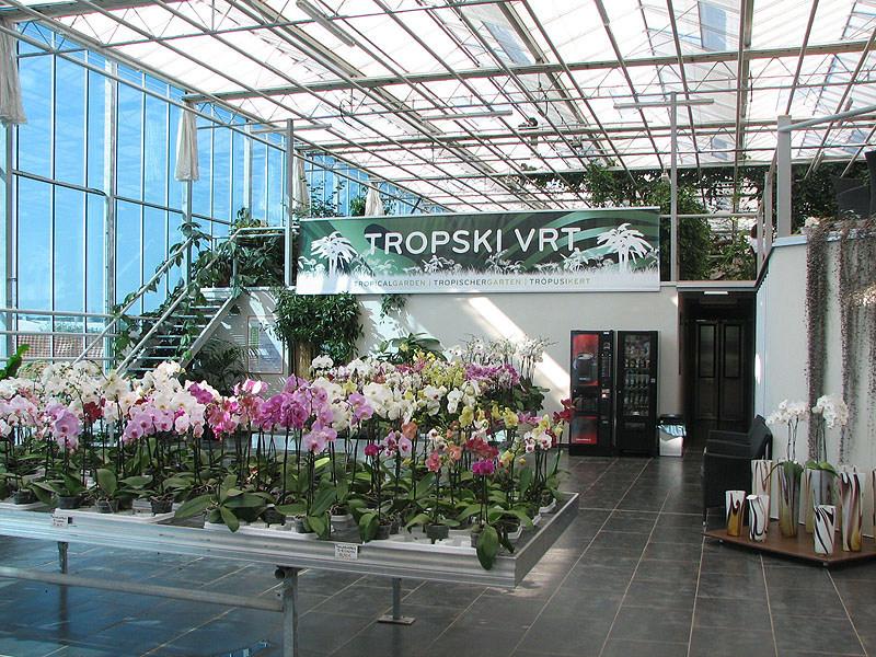 Orchideafarm és Tulipánmező fotó